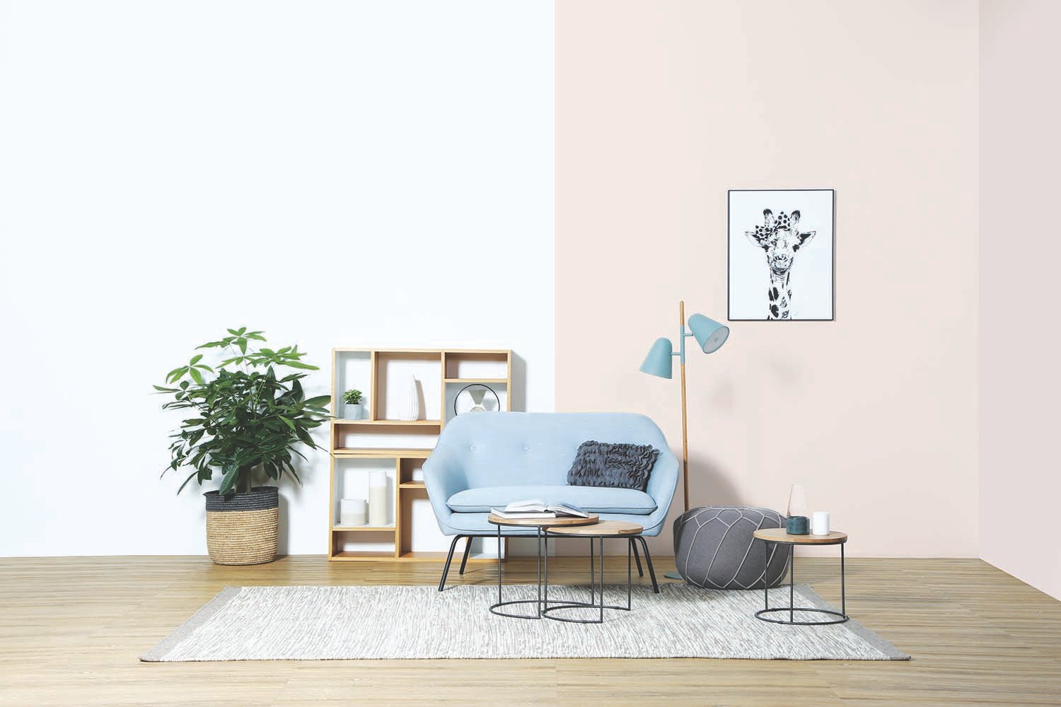 PICANTO 2 SEATER 802/6163 (#) - Image 4